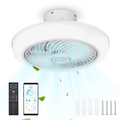Ceiling Light Ceiling Light