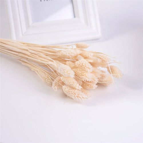 Dried Flowers Pampas Grass Mixed Bunny Rabbit Tail Lagurus Bouquet Wedding Christmas Decoration Natural Reed Flower Home Decora Dried Flowers Pampas Grass Mixed Bunny Rabbit Tail Lagurus Bouquet Wedding Christmas Decoration Natural Reed Flower Home Decora