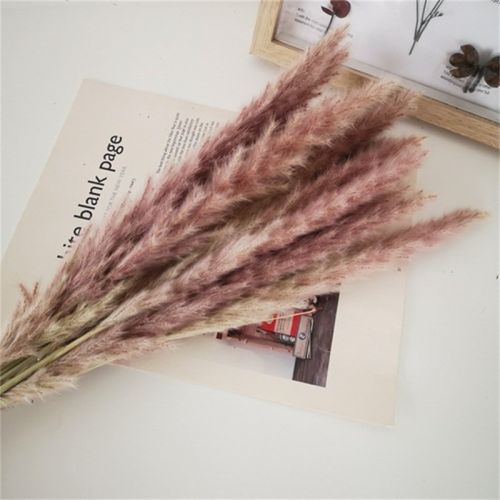 Dried Flowers Pampas Grass Mixed Bunny Rabbit Tail Lagurus Bouquet Wedding Christmas Decoration Natural Reed Flower Home Decora Dried Flowers Pampas Grass Mixed Bunny Rabbit Tail Lagurus Bouquet Wedding Christmas Decoration Natural Reed Flower Home Decora
